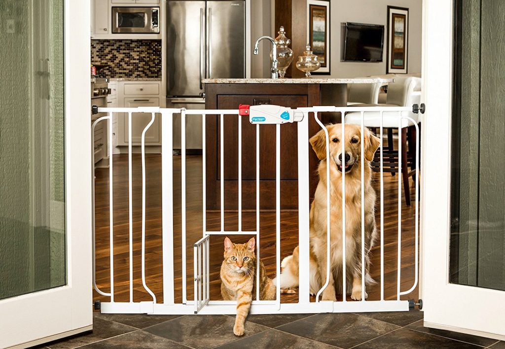 Dog Gate