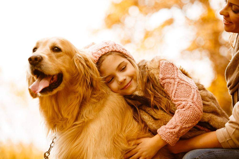 Girl hugging a Cream Golden Retriever