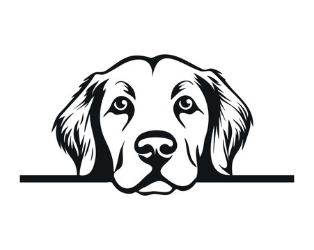 Bonsaviour Blog Logo