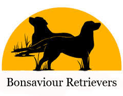 Bonsaviour Retrievers Logo