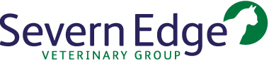 Severn Edge logo