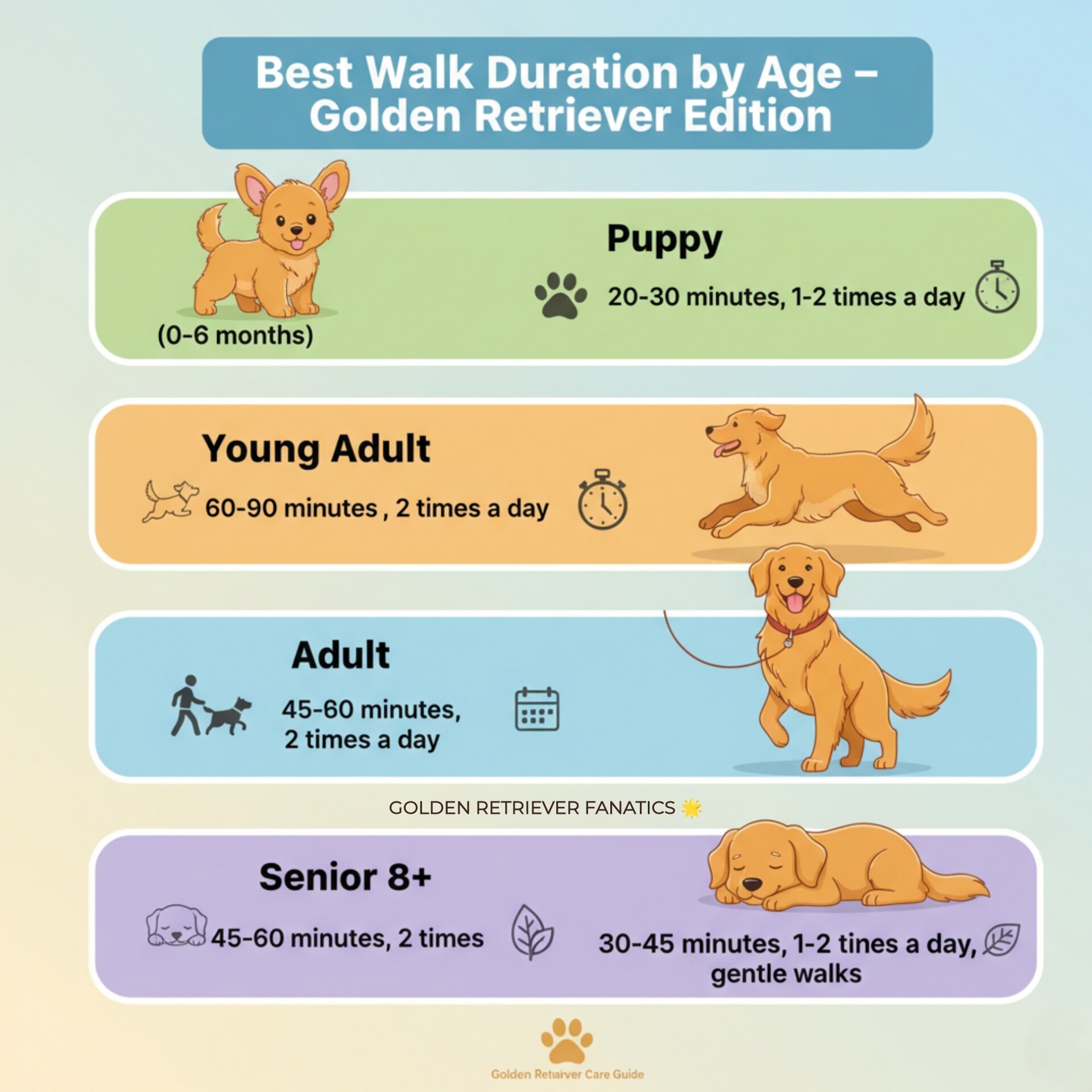 Best Walk duration by Dog's age